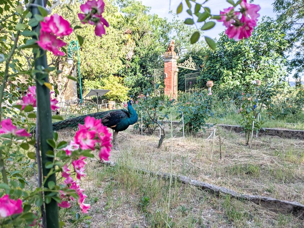 Roseto Botanico Gianfranco e Carla Fineschi