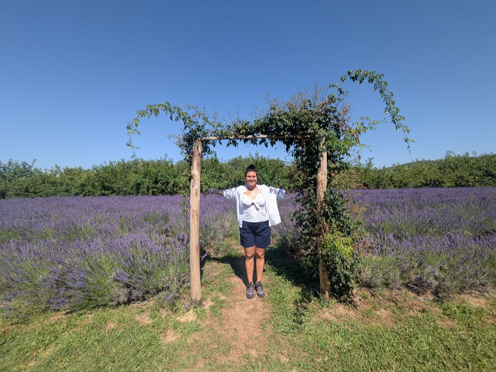 I campi di Lavanda a Massarosa - La Via Delle Erbe E Dei Fiori